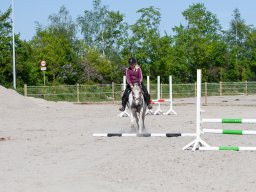 IMG_0468_web